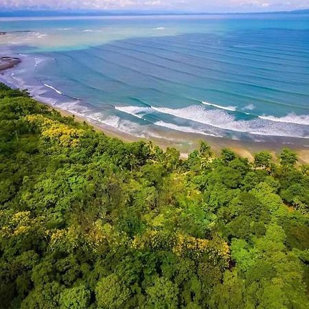 Four Monkeys Eco Lodge Jungle & Beach - The House Cabo Matapalo Extérieur photo