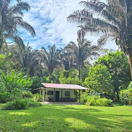 Four Monkeys Eco Lodge Jungle & Beach - The House Cabo Matapalo Extérieur photo