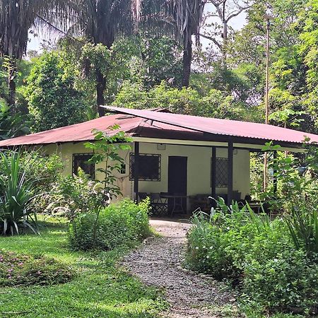 Four Monkeys Eco Lodge Jungle & Beach - The House Cabo Matapalo Extérieur photo