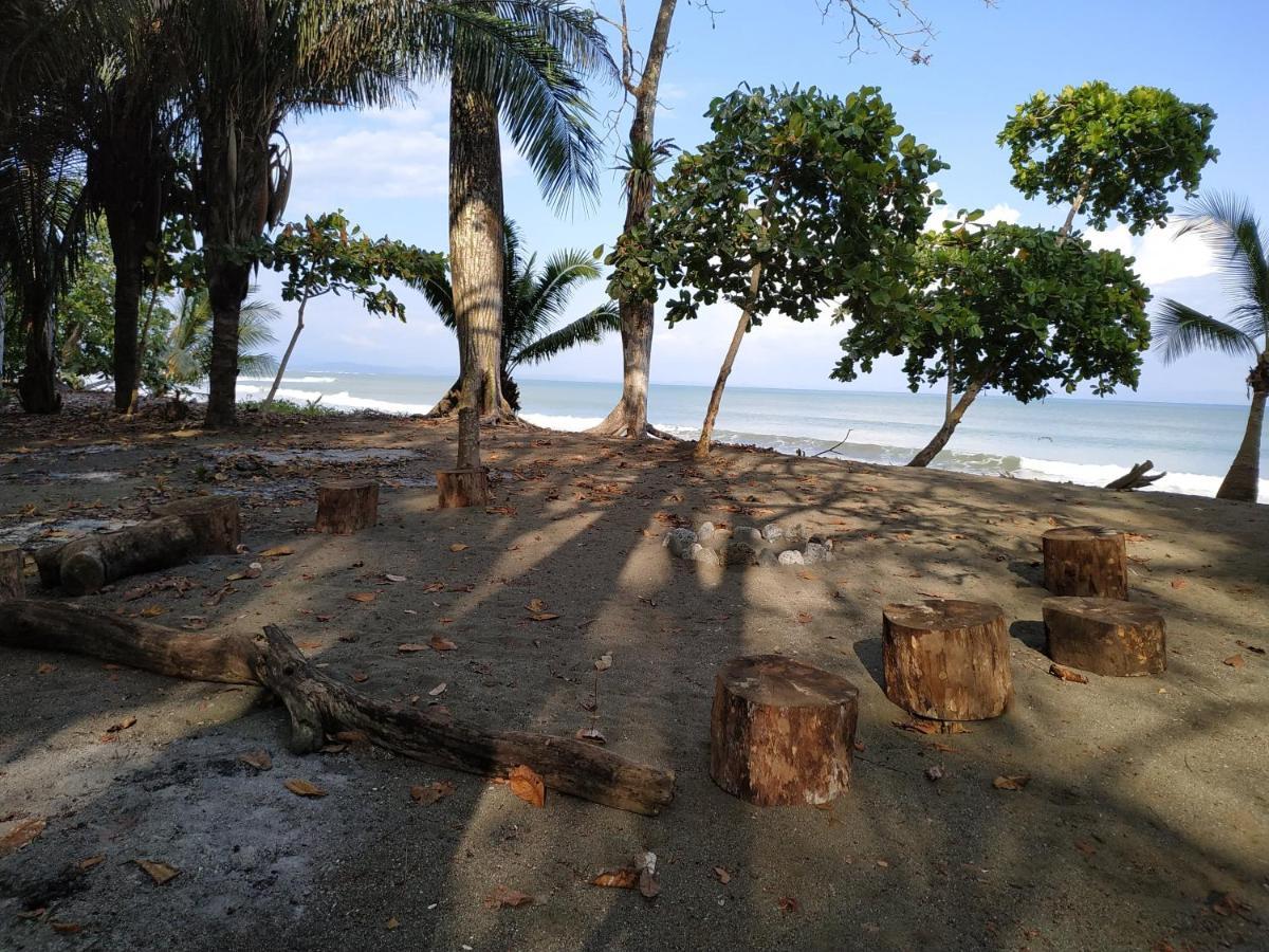 Four Monkeys Eco Lodge Jungle & Beach - The House Cabo Matapalo Extérieur photo