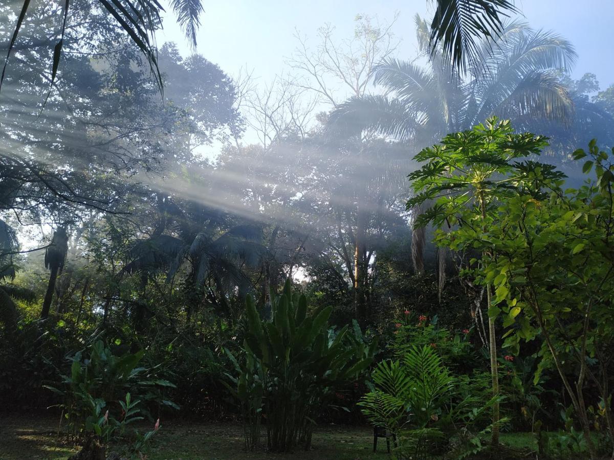 Four Monkeys Eco Lodge Jungle & Beach - The House Cabo Matapalo Extérieur photo