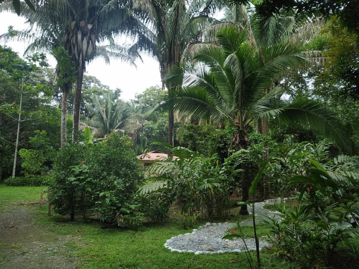 Four Monkeys Eco Lodge Jungle & Beach - The House Cabo Matapalo Extérieur photo