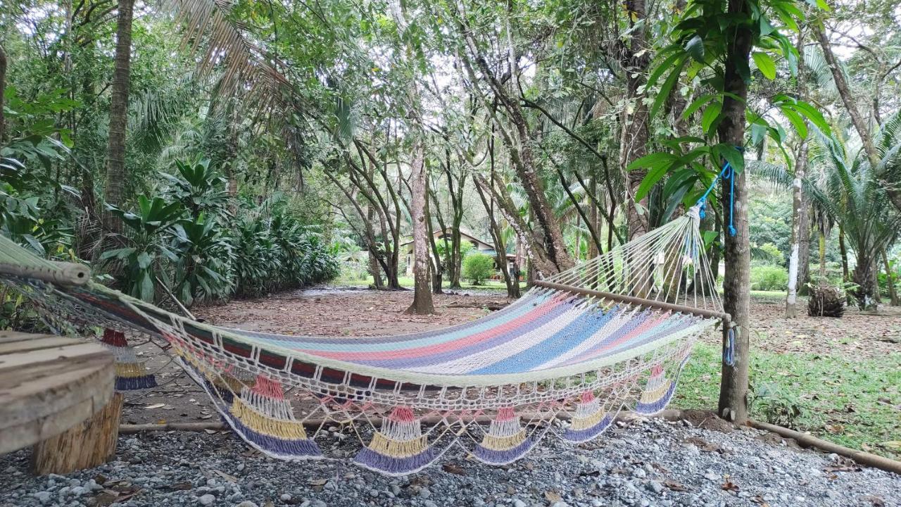 Four Monkeys Eco Lodge Jungle & Beach - The House Cabo Matapalo Extérieur photo