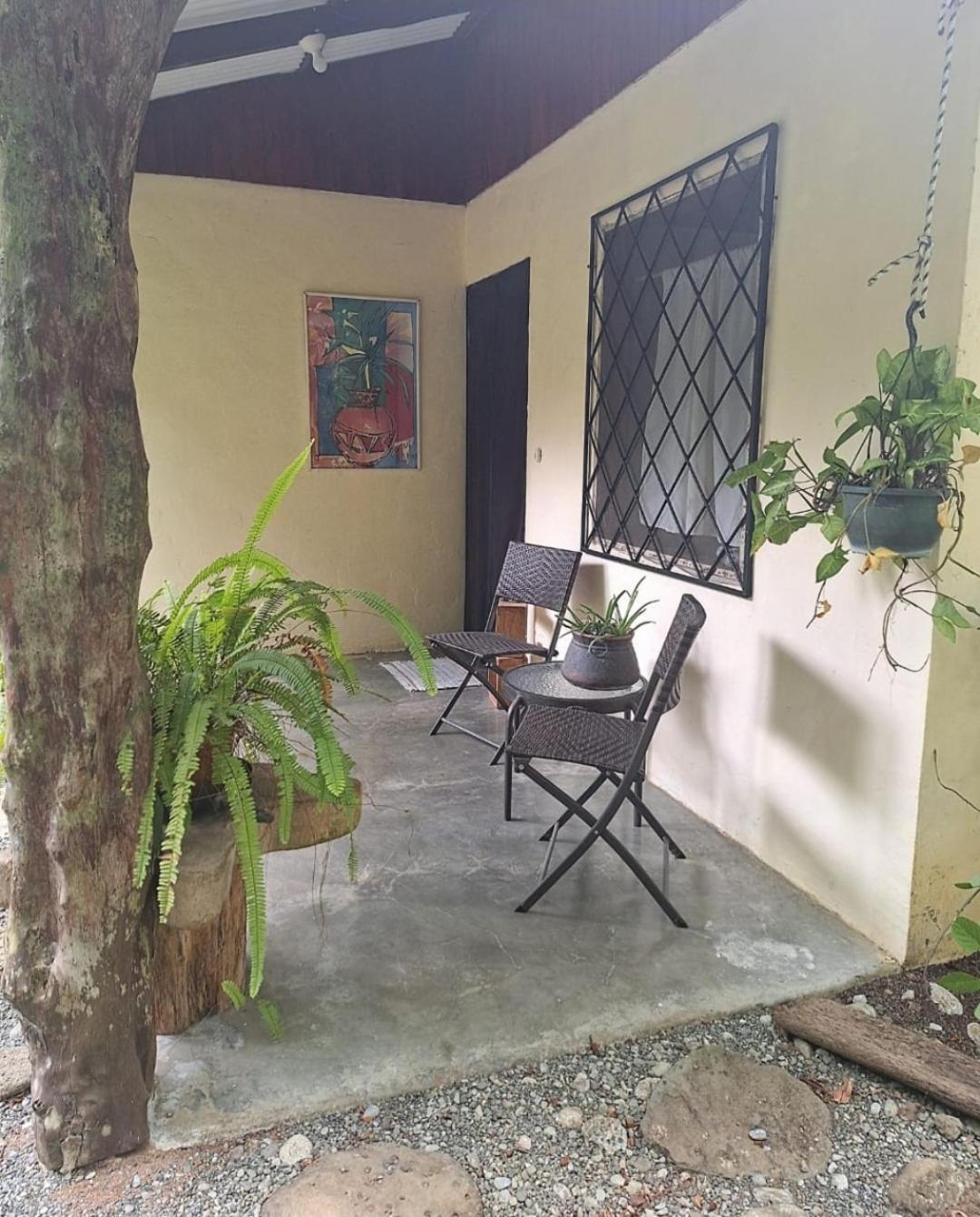 Four Monkeys Eco Lodge Jungle & Beach - The House Cabo Matapalo Extérieur photo