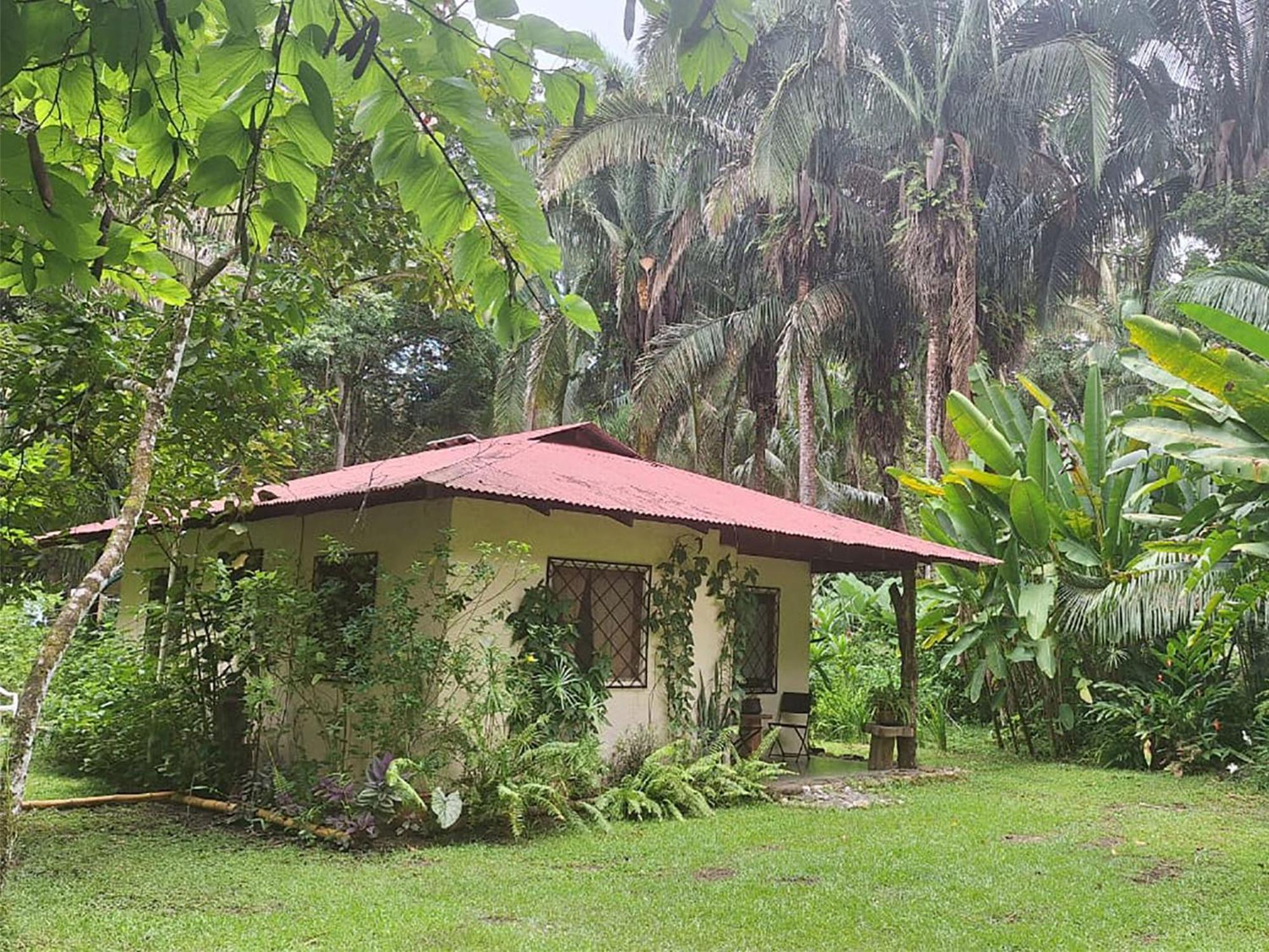 Four Monkeys Eco Lodge Jungle & Beach - The House Cabo Matapalo Extérieur photo