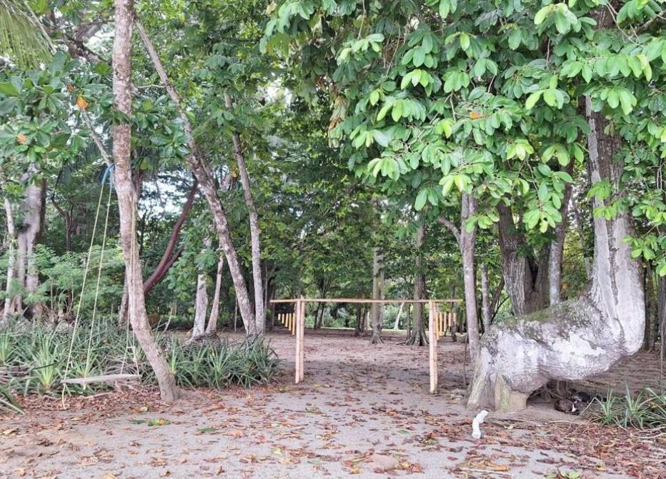 Four Monkeys Eco Lodge Jungle & Beach - The House Cabo Matapalo Extérieur photo