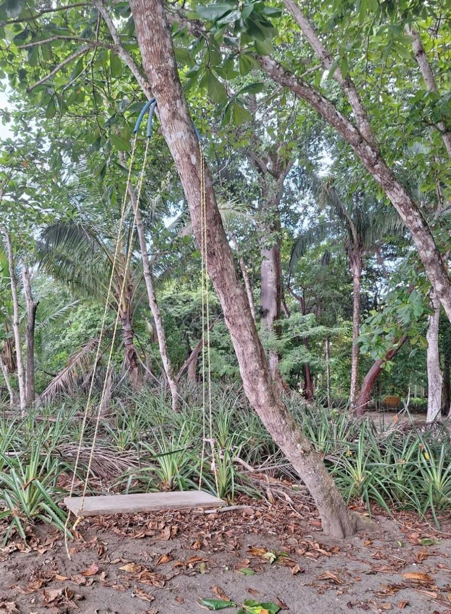 Four Monkeys Eco Lodge Jungle & Beach - The House Cabo Matapalo Extérieur photo