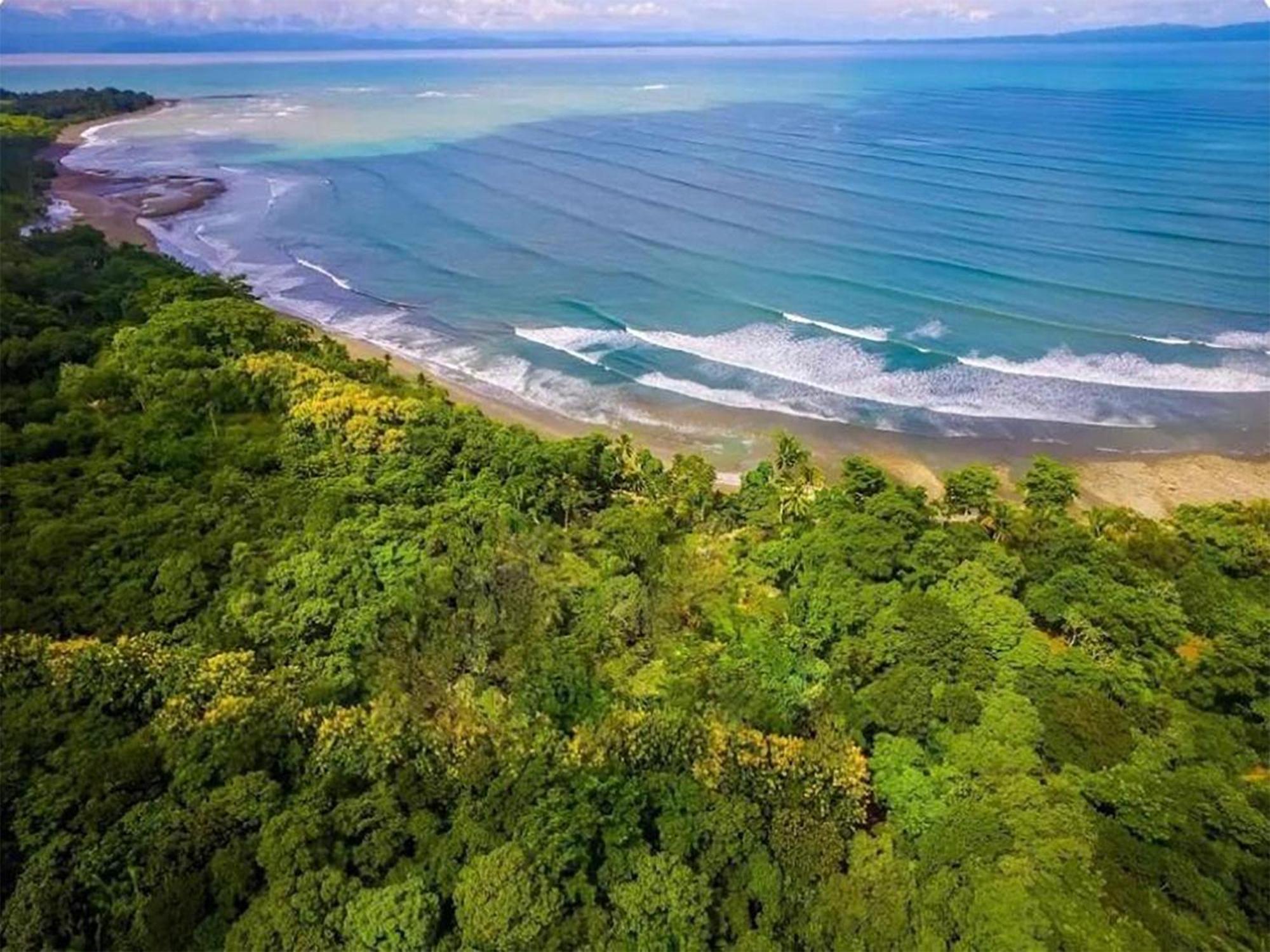 Four Monkeys Eco Lodge Jungle & Beach - The House Cabo Matapalo Extérieur photo