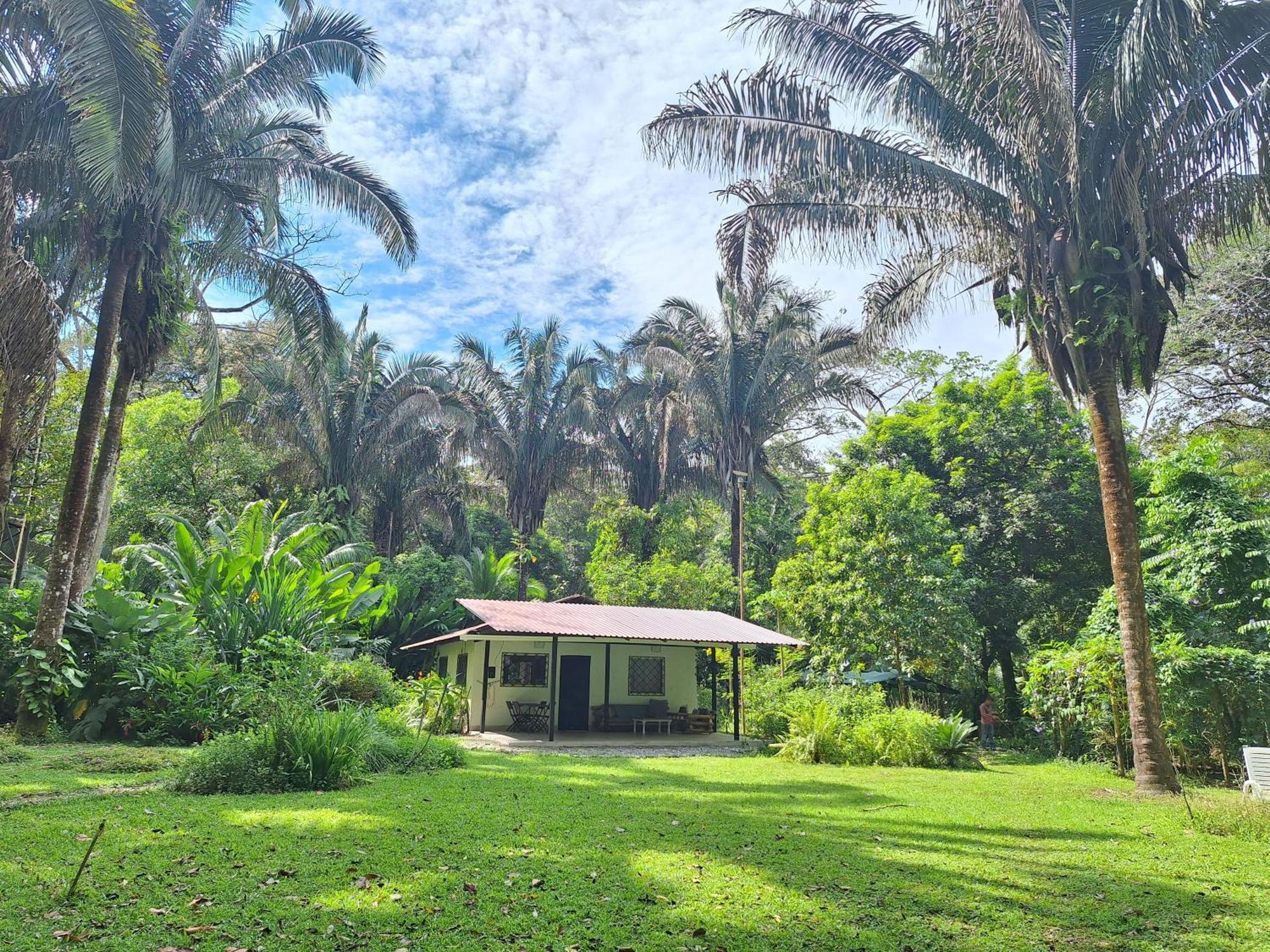 Four Monkeys Eco Lodge Jungle & Beach - The House Cabo Matapalo Extérieur photo
