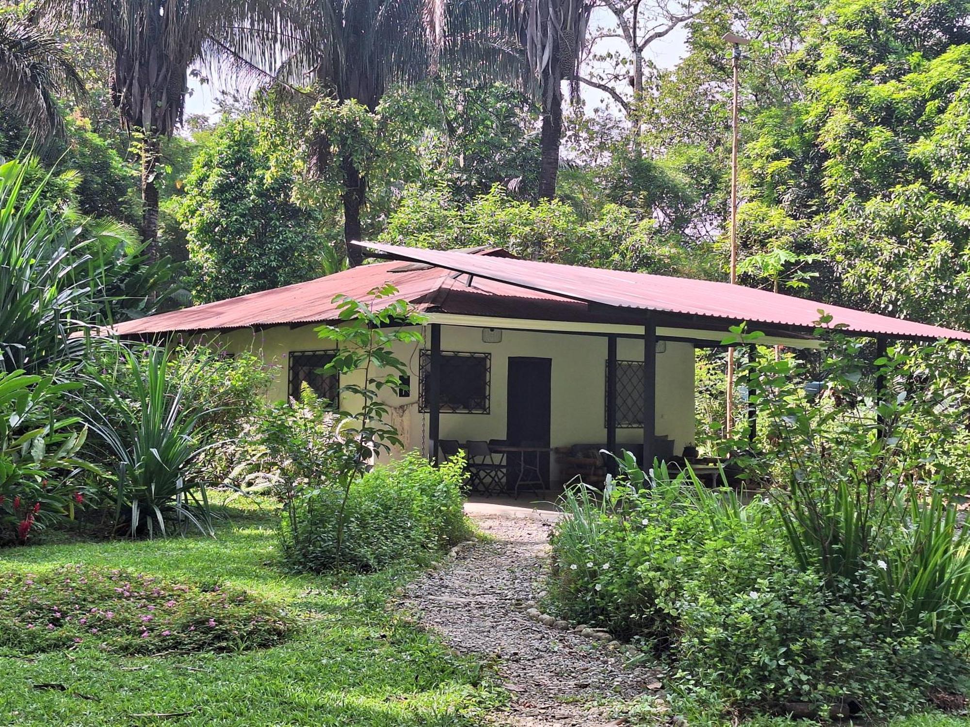 Four Monkeys Eco Lodge Jungle & Beach - The House Cabo Matapalo Extérieur photo